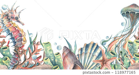 Seahorse, jellyfish, seashell, coral, starfish, sea sponge, algae, pebbles and bubbles. Hand drawn watercolor illustration of sea animals and the underwater. Template, frame rectangular, horizontal 118977165