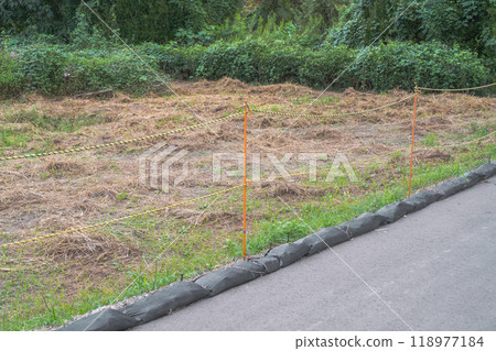 Vacant lot sprayed with herbicide Vacant lot sprayed with herbicide 118977184