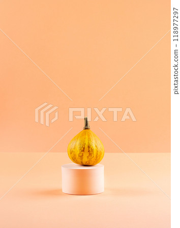 Pumpkin autumn halloween thanksgiving symbol displayed on geometric podium 118977297
