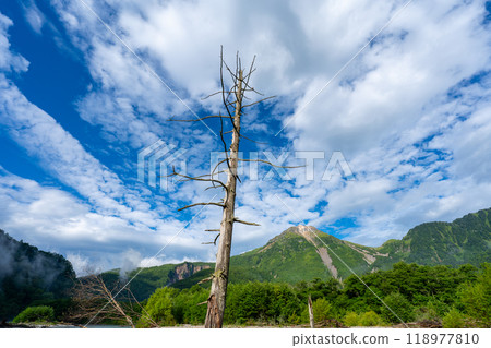 Scenery of Kamikochi 118977810