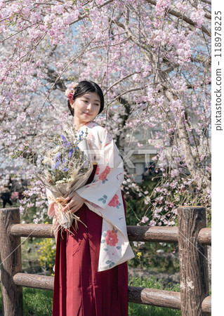 A young woman in a hakama walking through a town with cherry blossoms in bloom A young woman in a hakama walking through a town with cherry blossoms in bloom 118978225