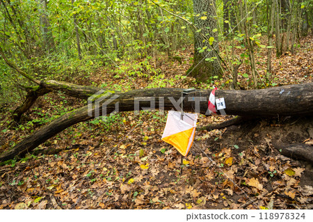 Orienteering. Control point Prism and electric composter for orienteering in the spring forest. 118978324