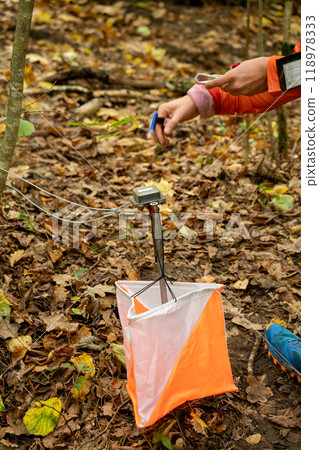 A woman punching at the orienteering control point 118978333