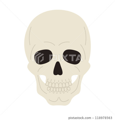 Human skull. Skeleton head. Halloween and death symbol. Vector flat illustration isolated on white background Human skull. Skeleton head. Halloween and death symbol. Vector flat illustration isolated on white background 118978563