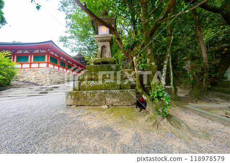 奈良縣石神神社的風景 118978579