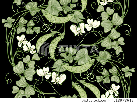 Green peas. Branch with leaves and pods with peas. 118978615