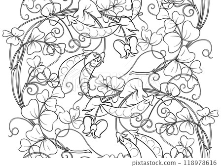 Green peas. Branch with leaves and pods with peas. Green peas. Branch with leaves and pods with peas. 118978616