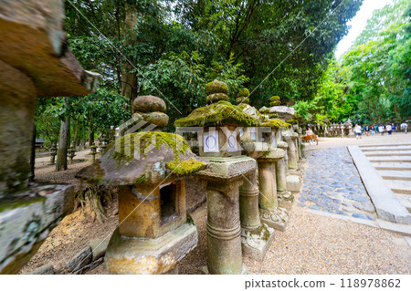 Nara Prefecture Nara Park and deer scenery 118978862