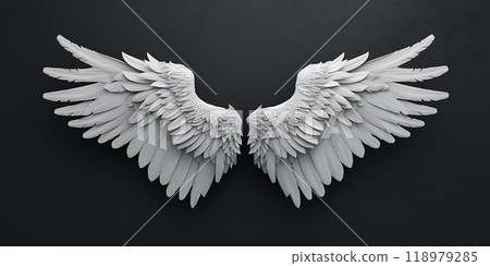 Mystical Flight: Angel Wings 118979285