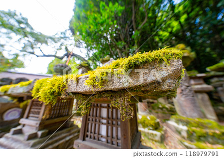 奈良縣春日大社的風景 奈良縣春日大社的風景 118979791