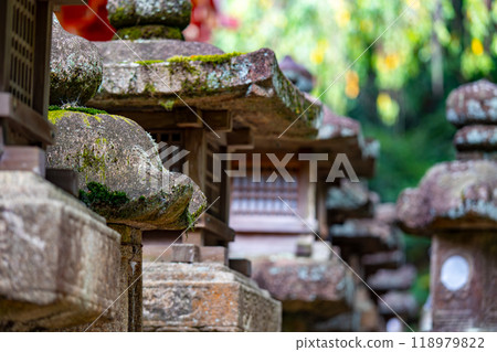 奈良縣春日大社的風景 118979822