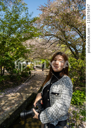 Tokyo, Japan - April 15, 2024: Cherry blossom trees at Ashikaga Flower Park. Asia girl child supporter 118979847