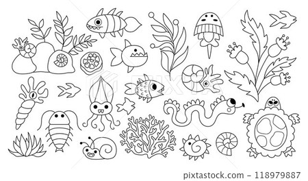 Vector black and white ancient fish and marine creatures set. Prehistoric water animal line icons collection. Dinosaur period illustrations with turtle, ammonite. Giant bugs, beetles coloring page 118979887