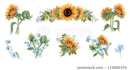 Field blooming yellow orange sunflowers, blue chicory and purple meadow flower herbs watercolor illustration clipart. Floral summer wildflower bouquets, composition for wedding, birthday decor Field blooming yellow orange sunflowers, blue chicory and purple meadow flower herbs watercolor illustration clipart. Floral summer wildflower bouquets, composition for wedding, birthday decor 118980350