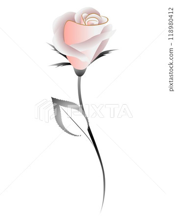 Tea rose on a white background, design element. 118980412