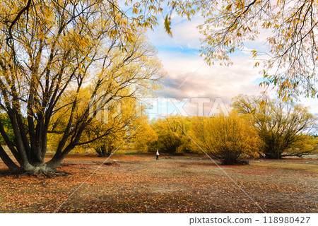 Female tourist enjoying in colorful golden forest and evening sky in autumn 118980427
