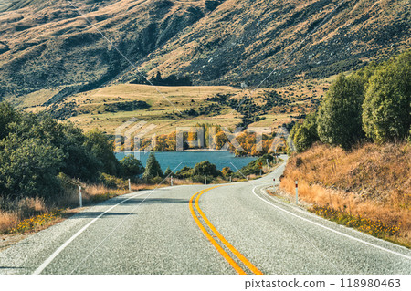 Road trip car driving on the road in autumn forest at New Zealand 118980463