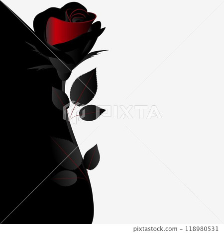 Illustration of beauty black and white floral background with rose. 118980531
