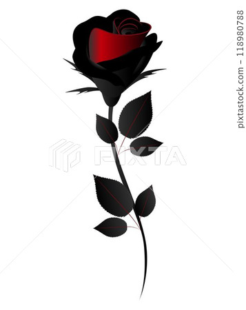 Rose on white background, design element. 118980788