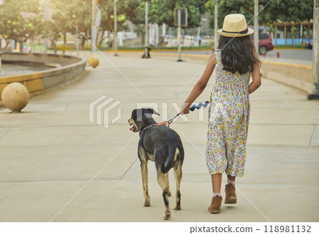 A young girl is walking her dog on a sidewalk. Summer time A young girl is walking her dog on a sidewalk. Summer time 118981132