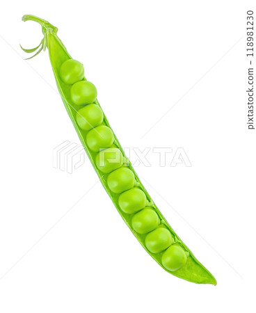 green pea with seeds isolated on white background green pea with seeds isolated on white background 118981230