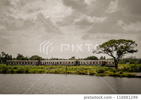 View of vintage railroad container is parked in wasteland and swamp with sky background. 118981299