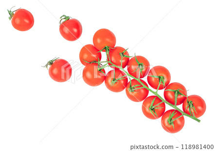 Branch of fresh cherry tomatoes isolated on white Branch of fresh cherry tomatoes isolated on white 118981400