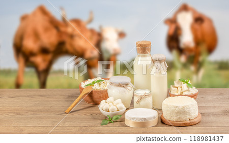 Bottle milk, cheeses, cottage cheese, yogurt, butter on a wooden table on meadow of cows background. Farm dairy products. eco lactose-free food. Bottle milk, cheeses, cottage cheese, yogurt, butter on a wooden table on meadow of cows background. Farm dairy products. eco lactose-free food. 118981437
