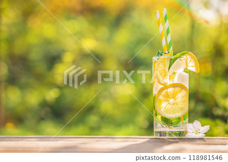 lemonade in glass with fresh lemon slice in garden. summer concept lemonade in glass with fresh lemon slice in garden. summer concept 118981546