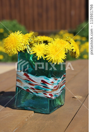 dandelions on a sunny day. dandelions in spring. flowering dandelions closeup. dandelions on a sunny day. dandelions in spring. flowering dandelions closeup. 118981766