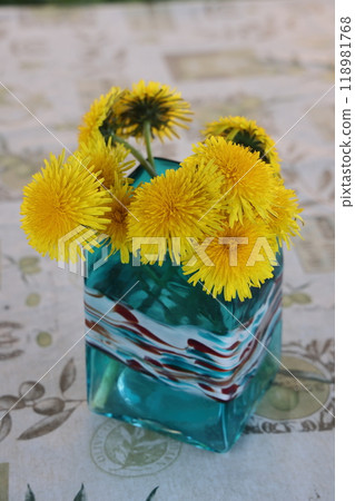 dandelions on a sunny day. dandelions in spring. flowering dandelions closeup. 118981768