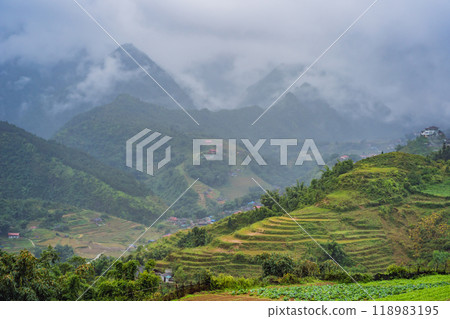 Rice terraces in the fog in Sapa, Vietnam. Rice fields prepare the harvest at Northwest Vietnam. Vietnam opens to tourism after quarantine Coronovirus COVID 19 Rice terraces in the fog in Sapa, Vietnam. Rice fields prepare the harvest at Northwest Vietnam. Vietnam opens to tourism after quarantine Coronovirus COVID 19 118983195