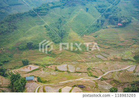 Rice terraces in the fog in Sapa, Vietnam. Rice fields prepare the harvest at Northwest Vietnam. Vietnam opens to tourism after quarantine Coronovirus COVID 19 118983203