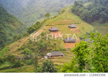 Rice terraces in the fog in Sapa, Vietnam. Rice fields prepare the harvest at Northwest Vietnam. Vietnam opens to tourism after quarantine Coronovirus COVID 19 Rice terraces in the fog in Sapa, Vietnam. Rice fields prepare the harvest at Northwest Vietnam. Vietnam opens to tourism after quarantine Coronovirus COVID 19 118983398