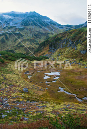 Autumn leaves at Murododaira, Mt. Tateyama, Toyama Prefecture 118984341