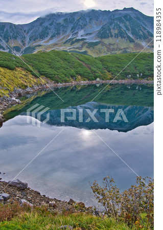 富山縣立山室堂平的秋葉 118984355