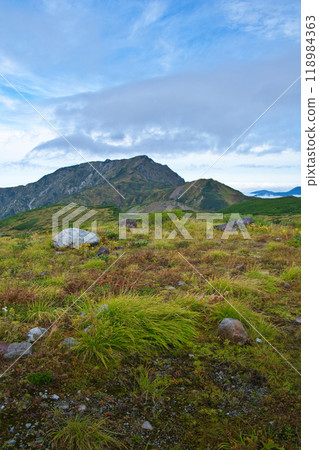 Autumn leaves at Murododaira, Mt. Tateyama, Toyama Prefecture 118984363