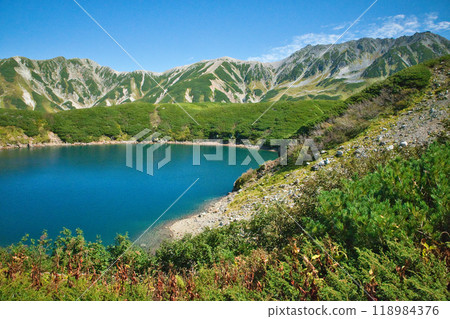 富山縣立山室堂平的秋葉 富山縣立山室堂平的秋葉 118984376