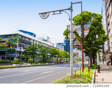 Kobe Flower Road 118985260