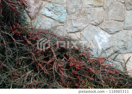 Natural stone wall partially covered with green plants 118985311