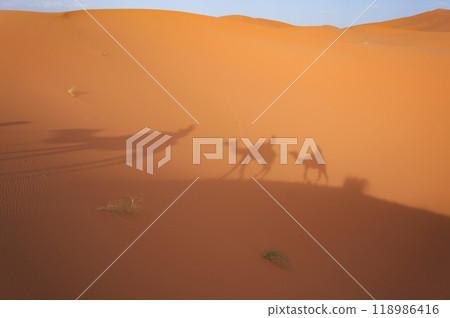 Silhouette of people riding camels Silhouette of people riding camels 118986416