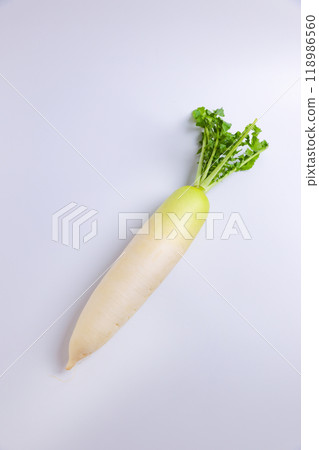 Japanese radish Japanese radish 118986560
