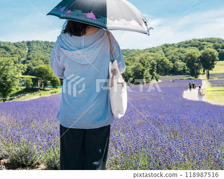 [Lavender field: Nanarisawa and the woman with a parasol] 118987516