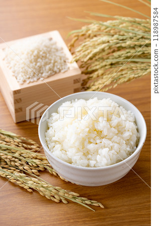 米 新米 米 新米 118987584