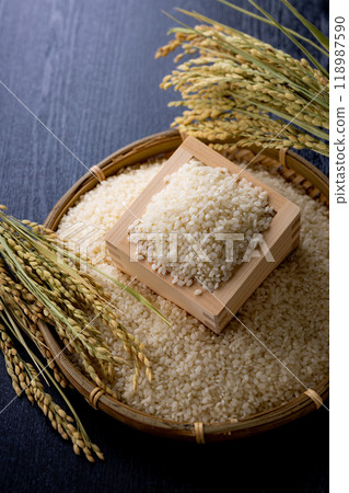 New rice, high-quality 118987590