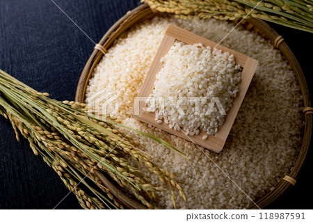 新手奢華 118987591