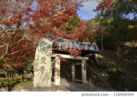 興勝寺 琴坂關門 秋天 興勝寺 琴坂關門 秋天 118988484