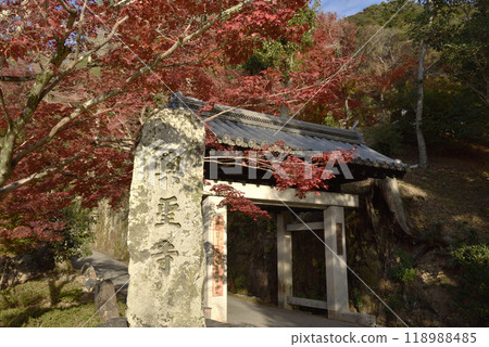 Koshoji Temple, Kotozaka, Stone Gate (Main Gate), Autumn 118988485