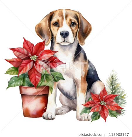Beagle and poinsettia pot 1 / flyer and poster material 118988527