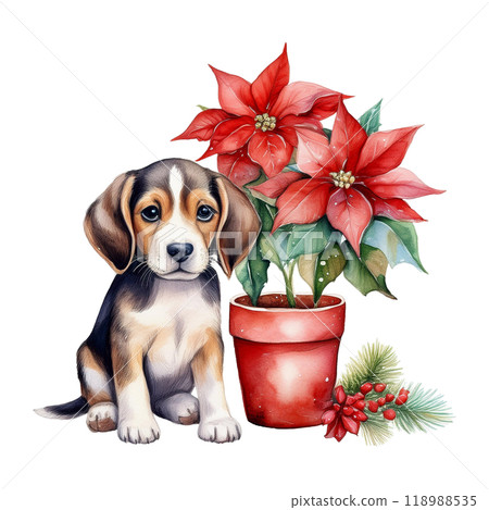 比格犬和一品紅盆栽 8 / 傳單和海報材料 118988535